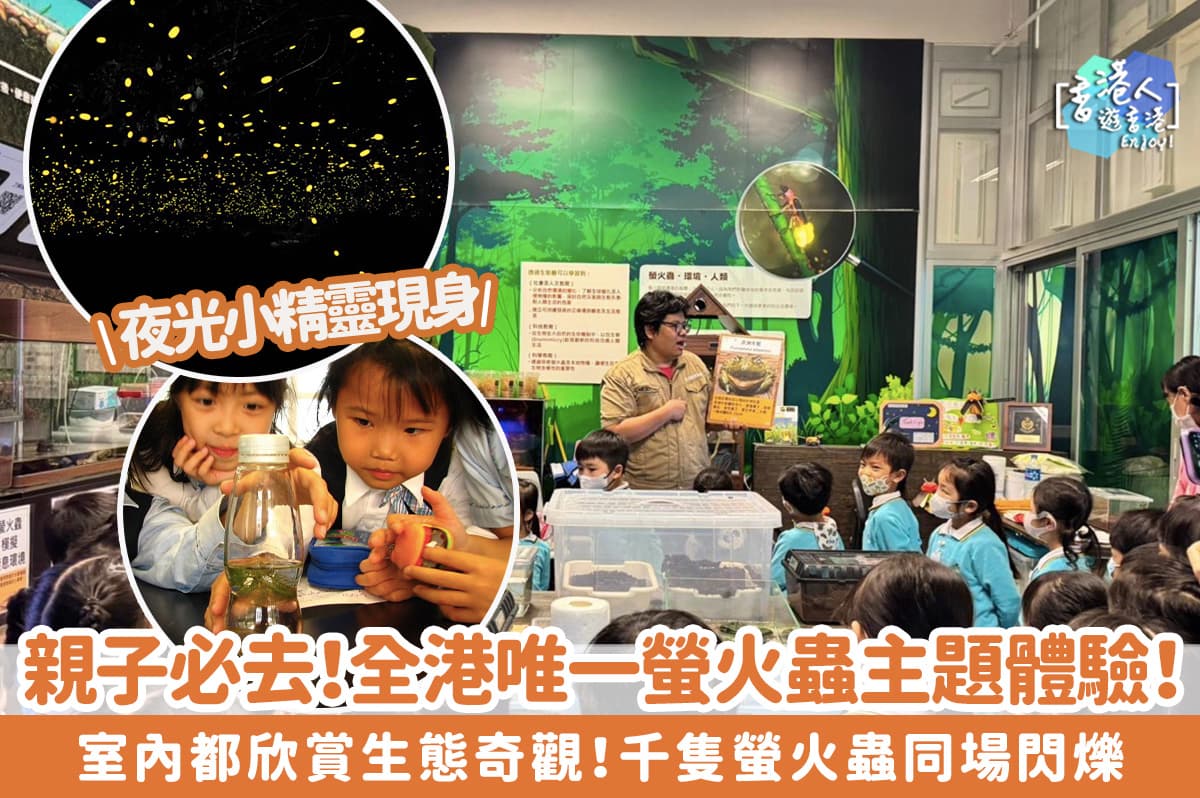 【親子好去處】夜光小精靈現身馬鞍山！全港唯一螢火蟲主題體驗！室內都欣賞生態奇觀！千隻螢火蟲同場閃爍