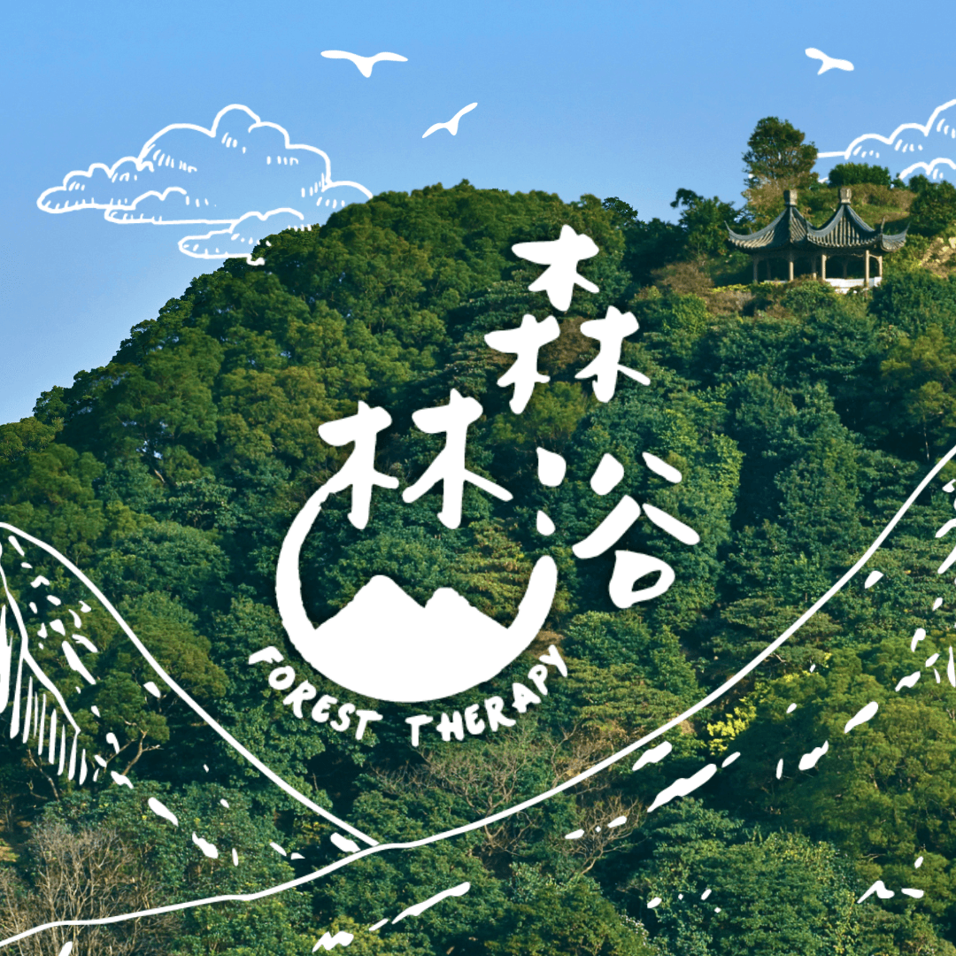 森林浴 | 一趟療癒旅程 2025