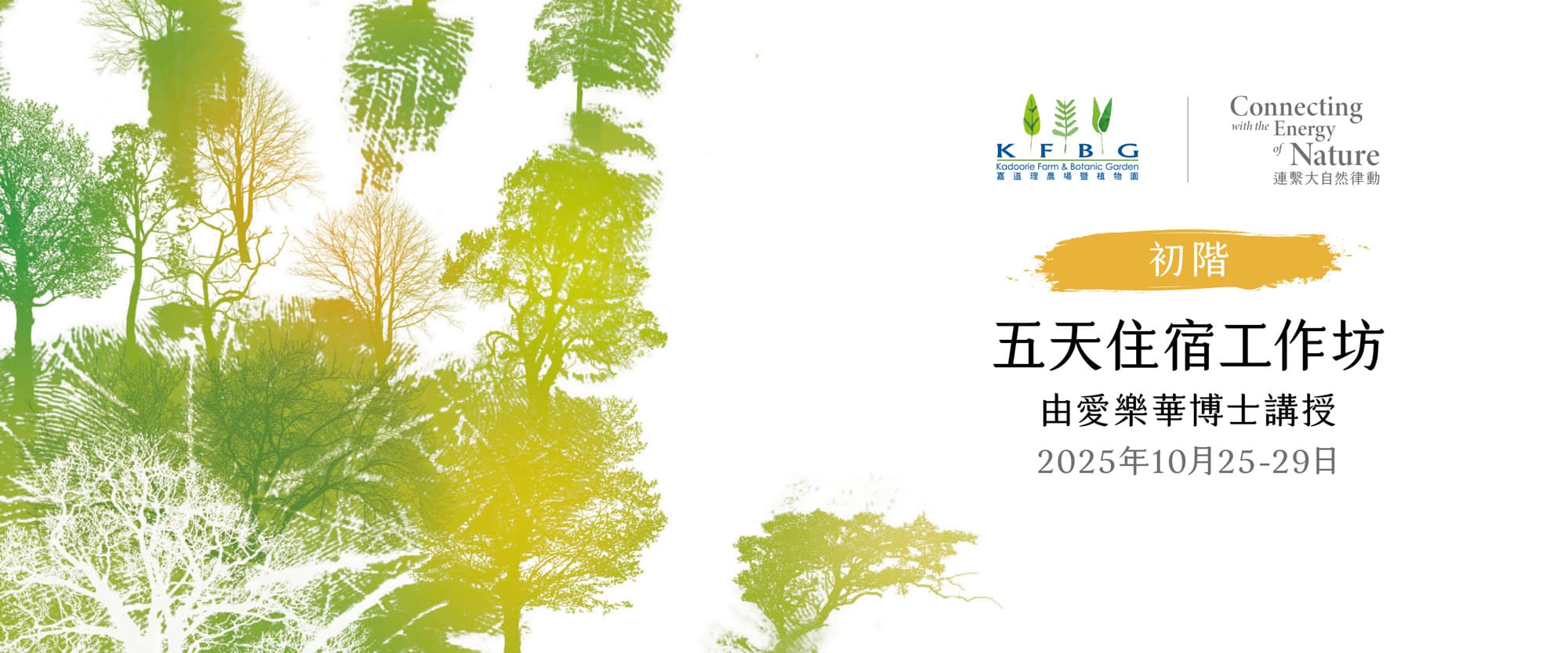 愛樂華博士｜初階｜五天住宿工作坊 2025