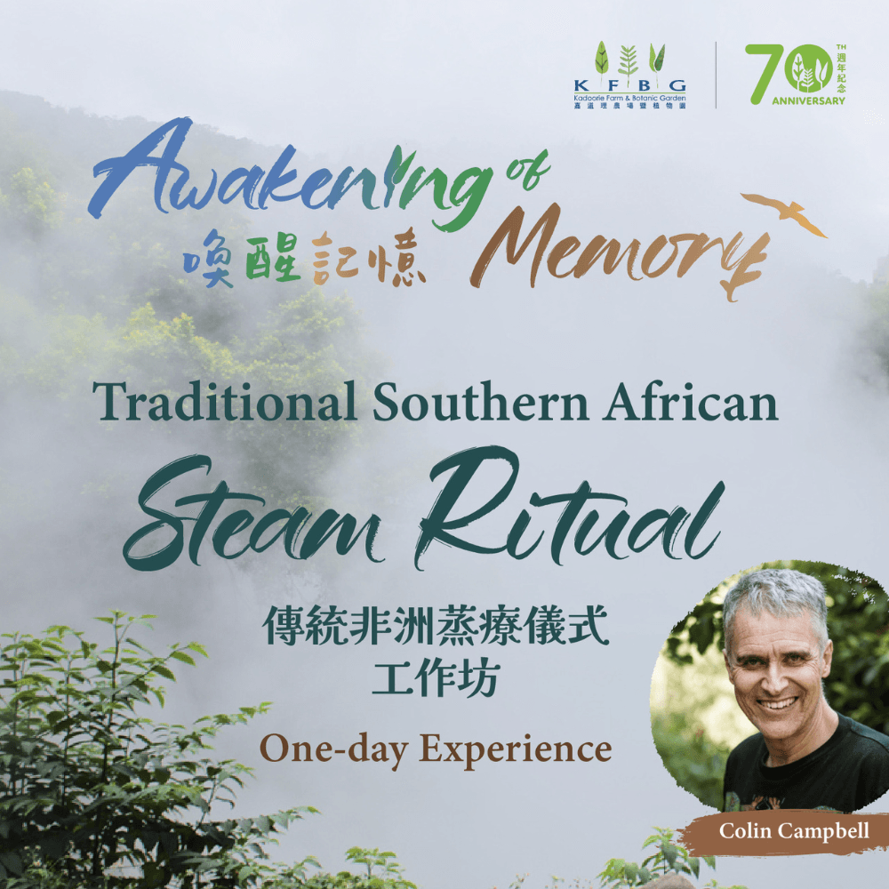Awakening of Memory – Traditional Southern African Steam Ritual One-day Experience
