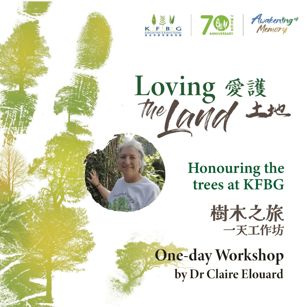 Loving the land - Honouring the trees at KFBG One-day Workshop