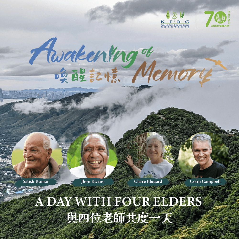 Awakening of Memory – A Day with Four Elders