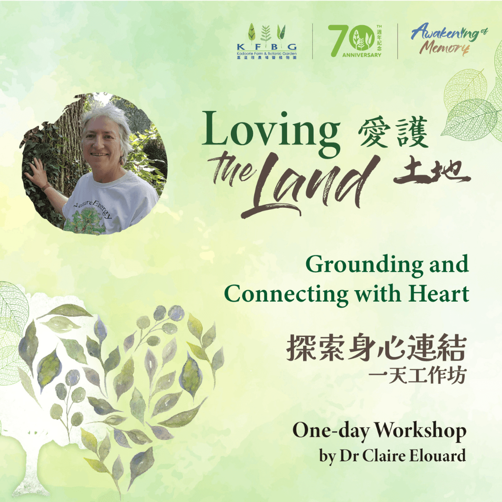 Loving the Land - Grounding and Connecting with the Heart One-day Workshop