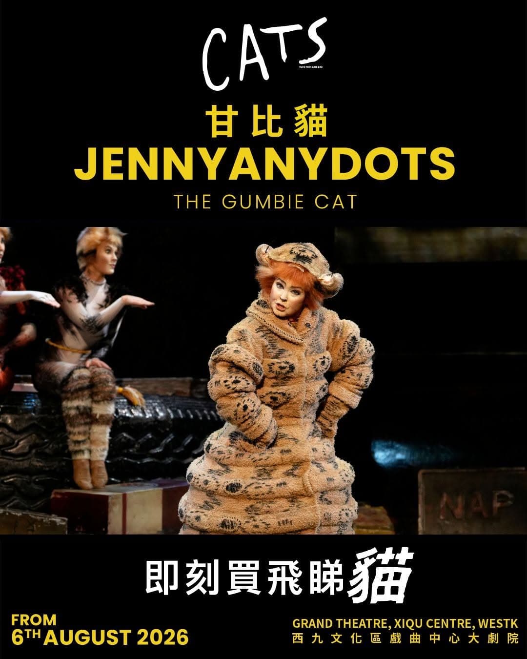 原版音樂劇《貓》CATS｜西九戲曲中心大劇院 4