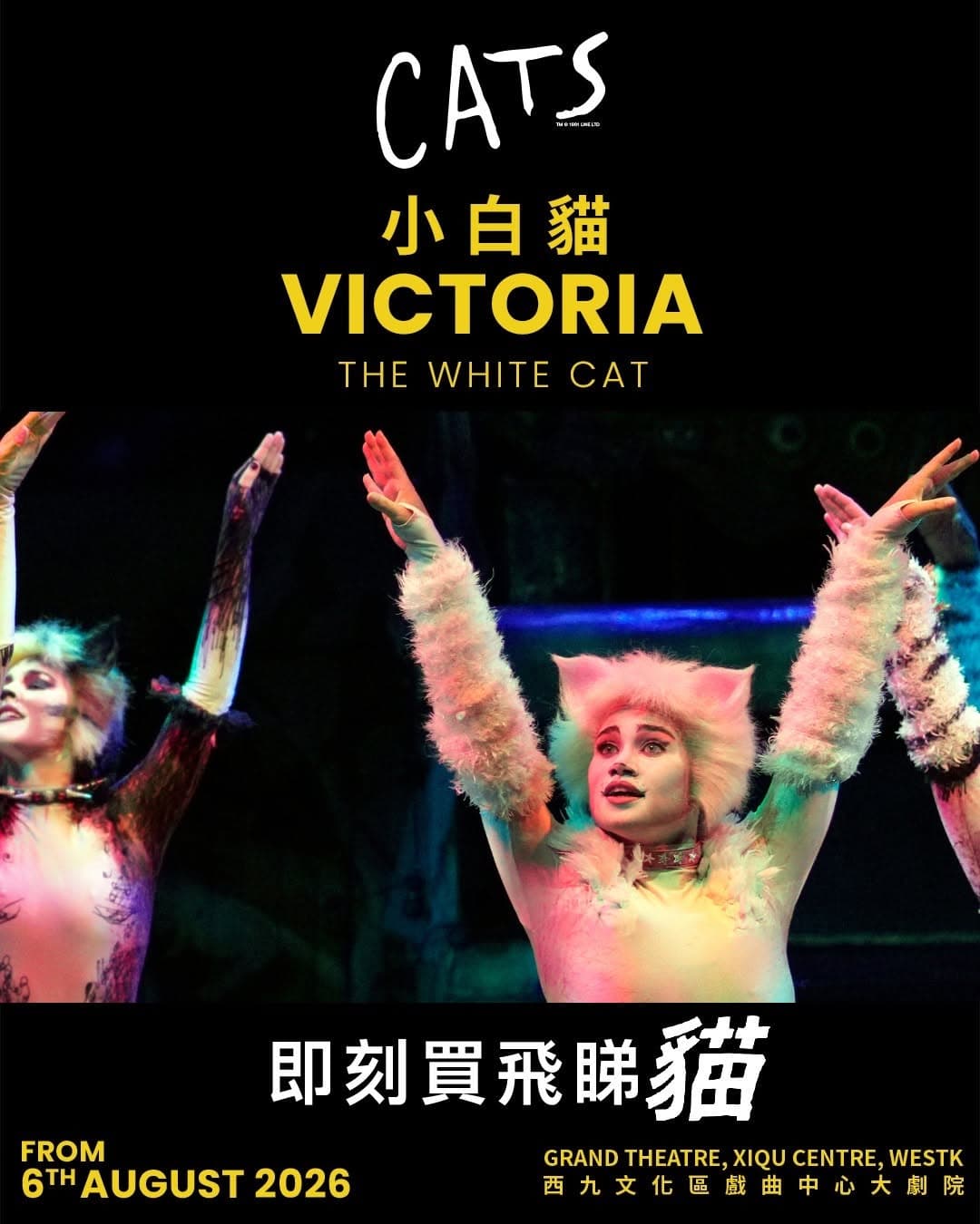 原版音樂劇《貓》CATS｜西九戲曲中心大劇院 6