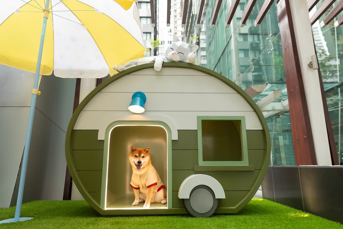 星街小區帶您的毛孩展開一場Pawsome探索之旅 2