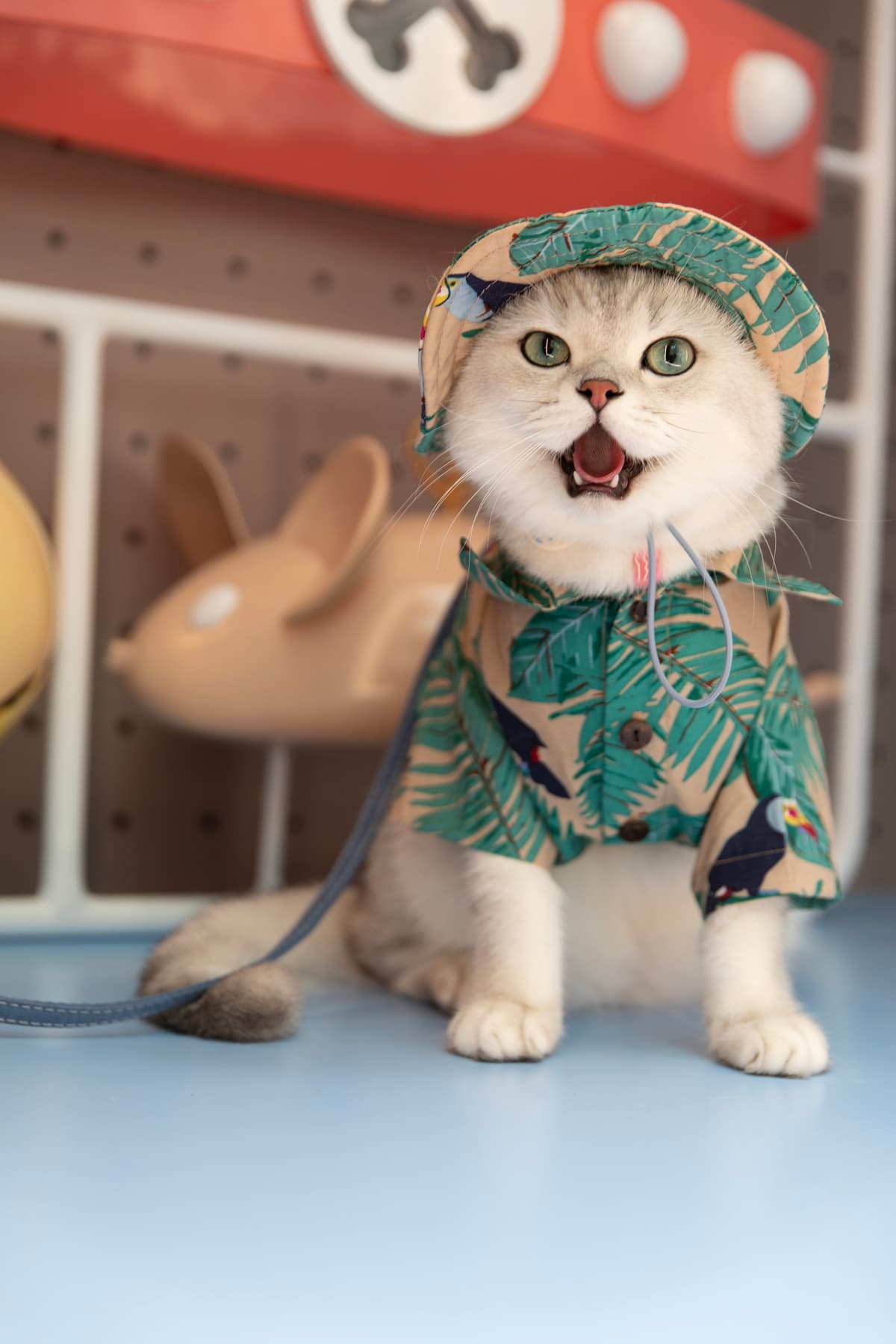 星街小區帶您的毛孩展開一場Pawsome探索之旅 3