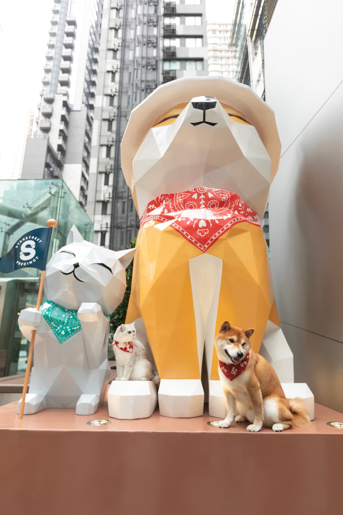 星街小區帶您的毛孩展開一場Pawsome探索之旅