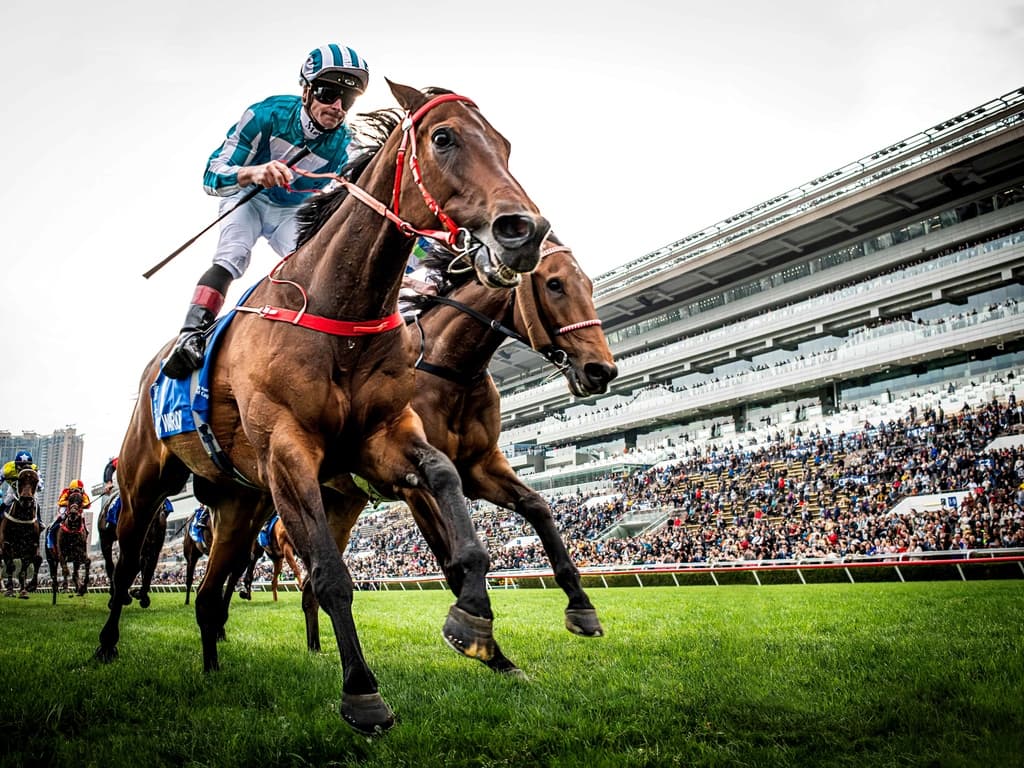 Hong Kong Gold Cup and Queen's Silver Jubilee Cup