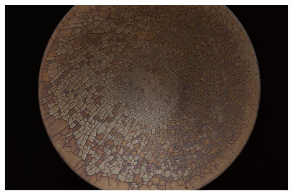 Tatsuma Segawa Solo Exhibition
