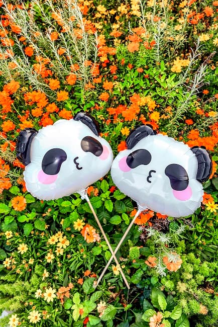 新城市廣場X香港海洋公園舉辦慈善 Panda「童」繪樂比賽 5
