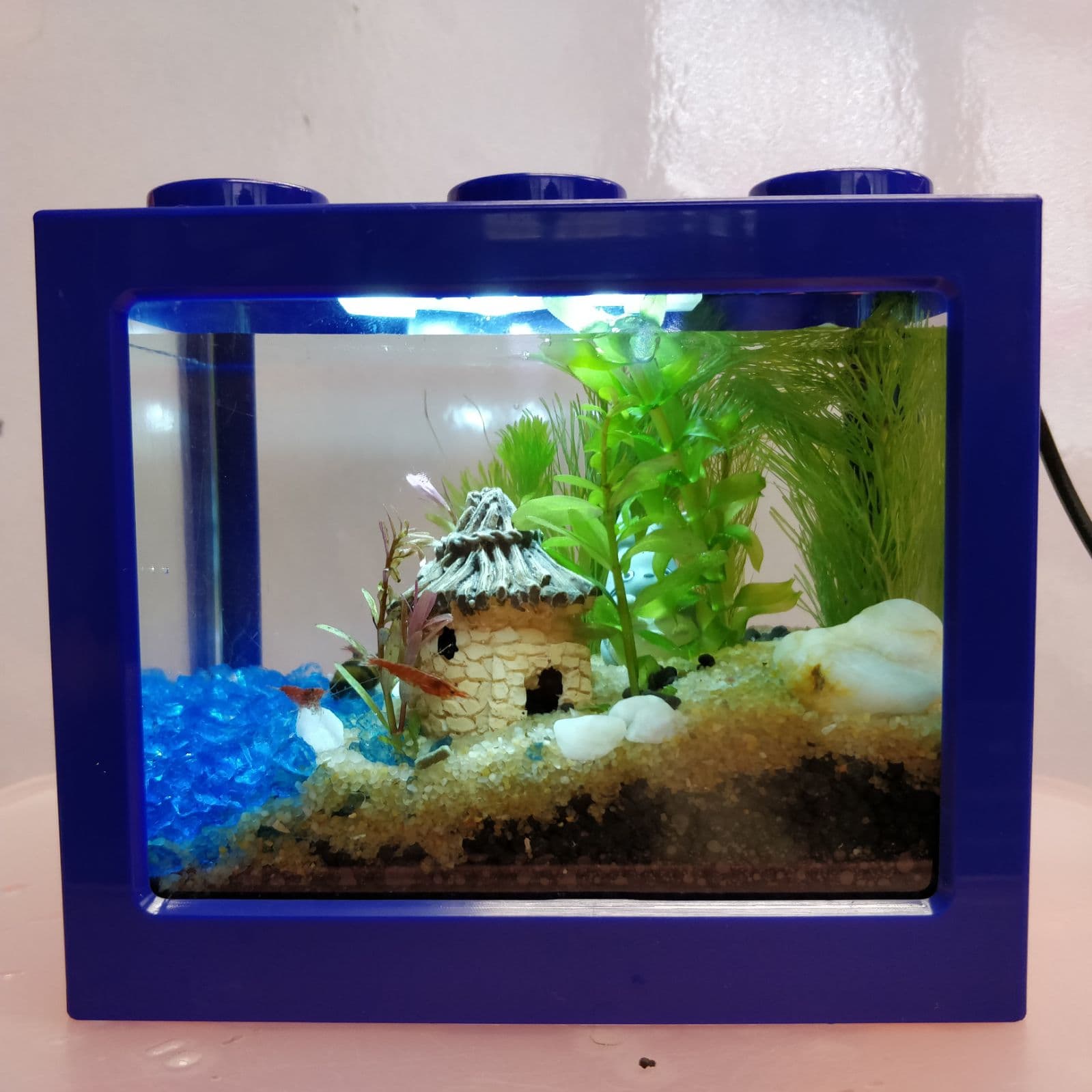 DIY迷你積木生態缸工作坊 4