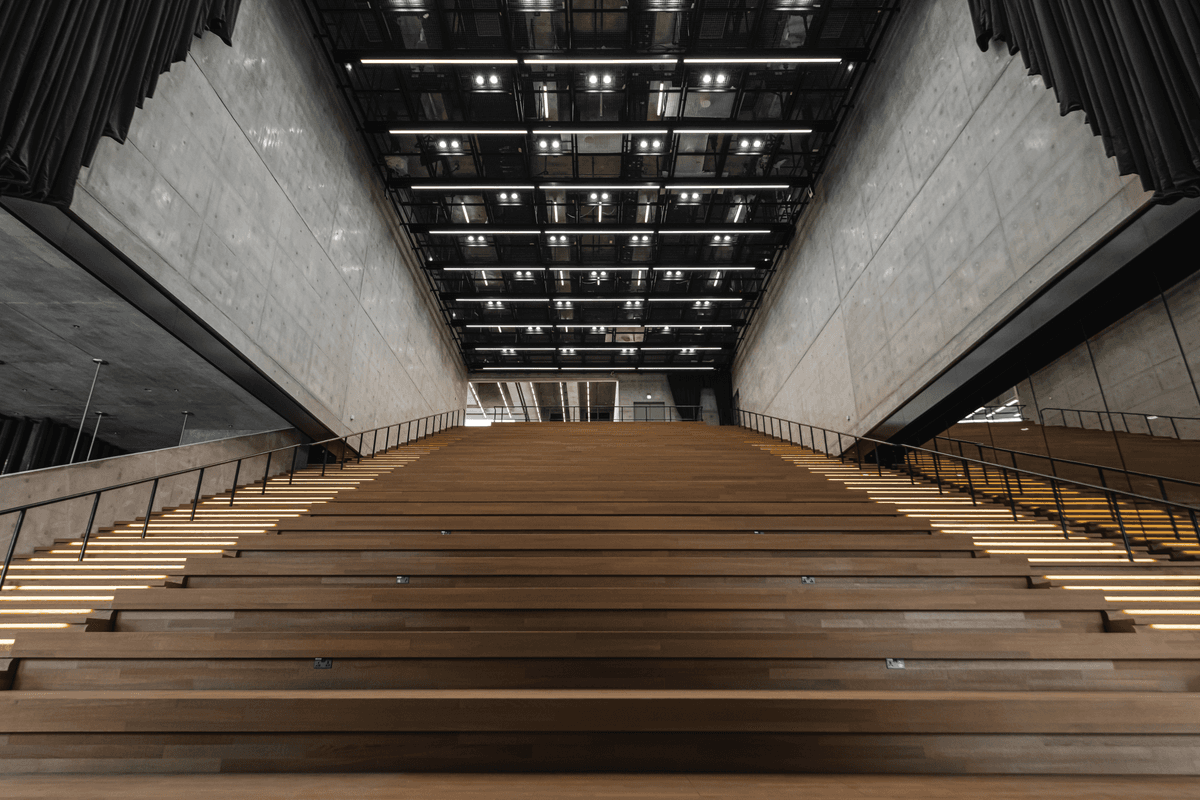 Ellen Pau: Luminosity