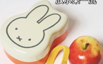 DEEDEEDIDI STORE | Miffy x studio CLIP Japan “Must-Buy” Collab | Now In Stock at PMQ 10