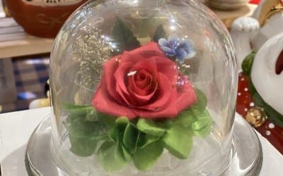 DEEDEEDIDI STORE | Be My Valentine gift ideas 7