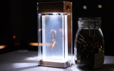 「Think Outside the Box」科學藝術展覽 7
