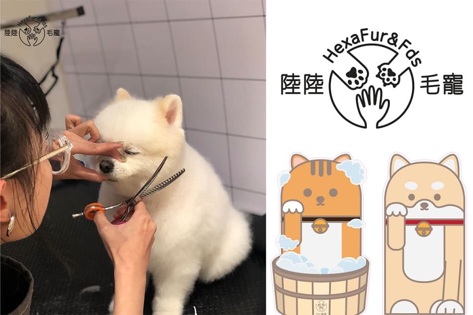 Hexa Fur & Fds | Pet Grooming